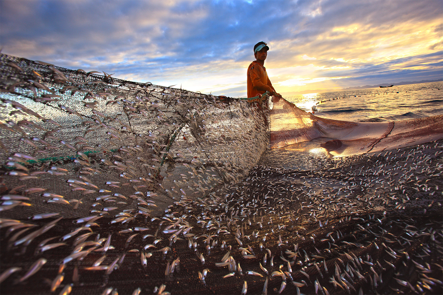 fisher-bangladesh